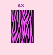 A3