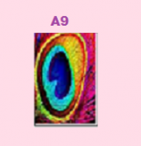 A9